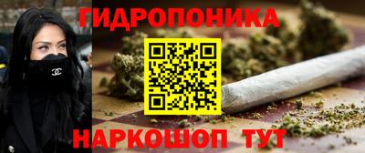 амф Гусев