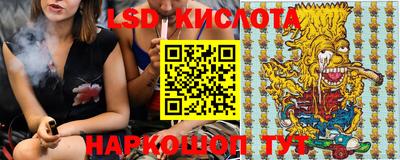 амф Гусев