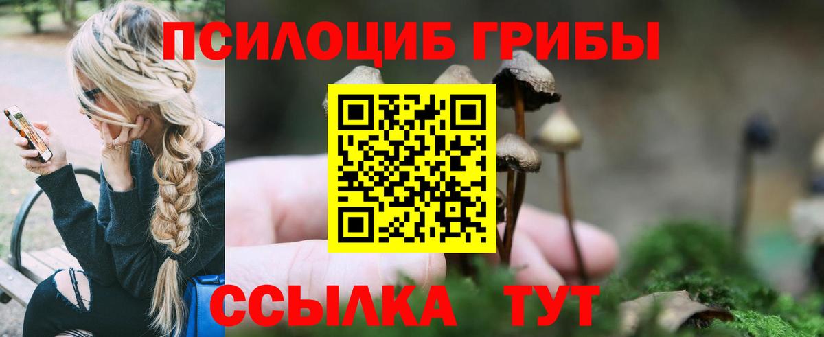 Галлюциногенные грибы ЛСД Назрань